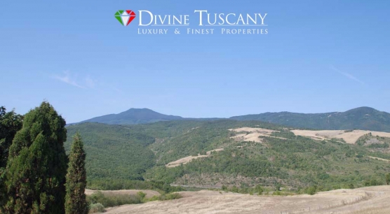 Country house for sale in Pienza 